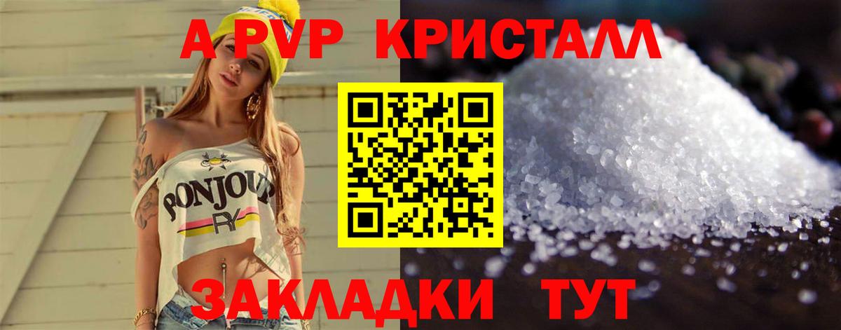Alfa_PVP СК Саратов