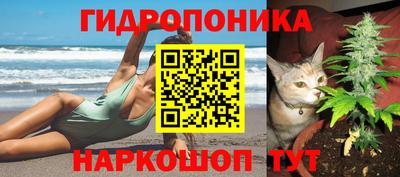 каннабис Славгород