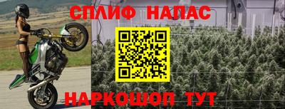 каннабис Славгород