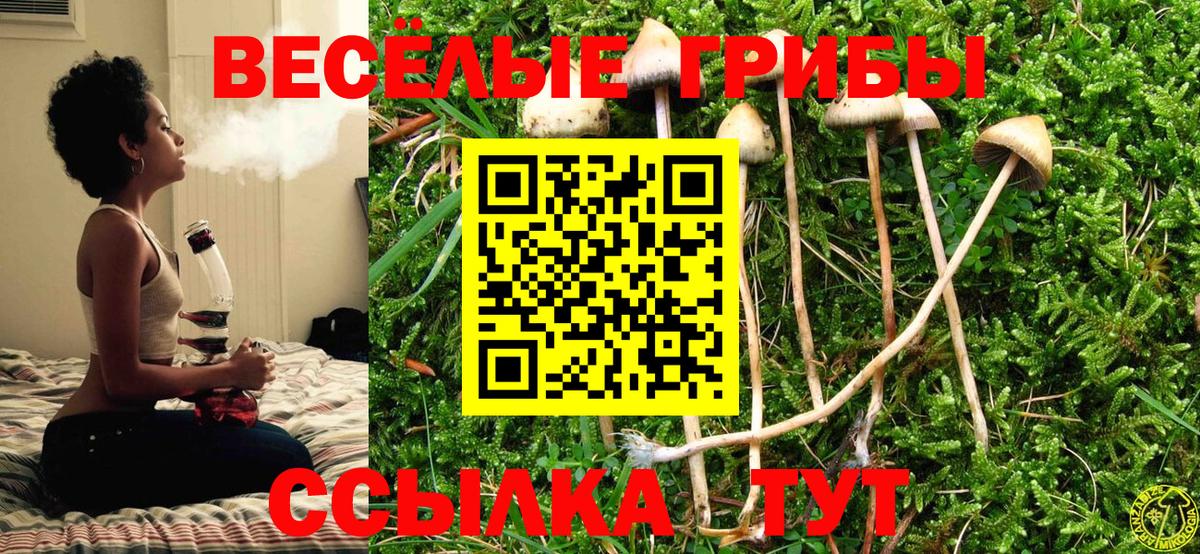 Саратов  Псилоцибиновые грибы Magic Shrooms  Вход с VPN 